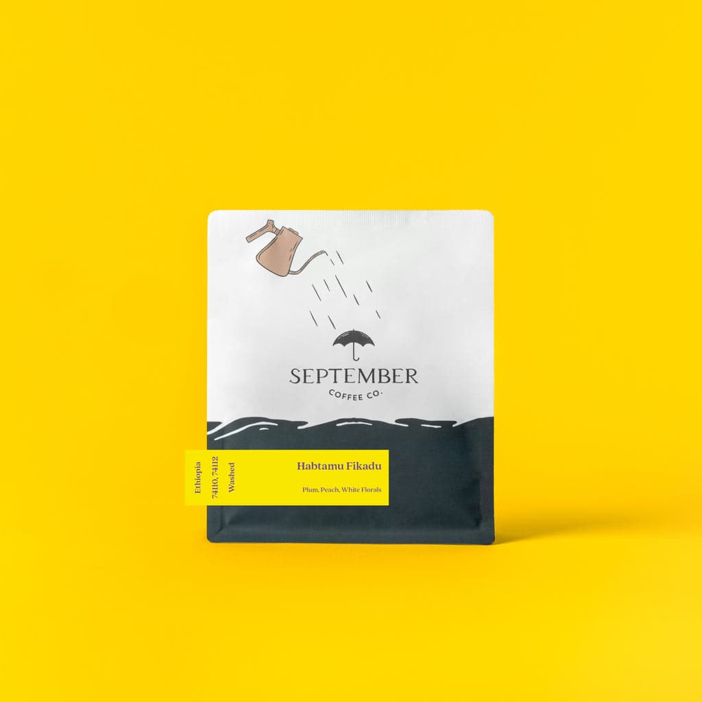 Habtamu Fikadu - Ethiopia (Extra-Light)