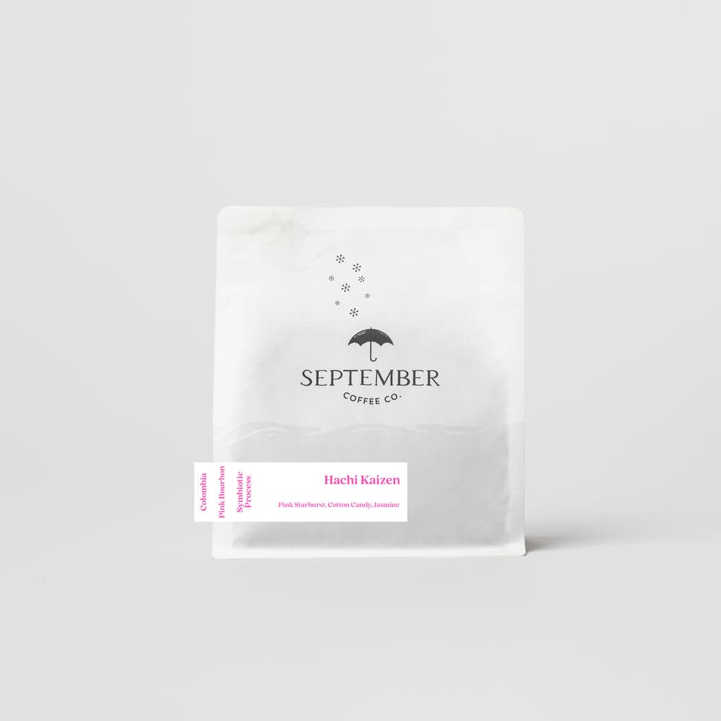 Hachi Kaizen - Colombia