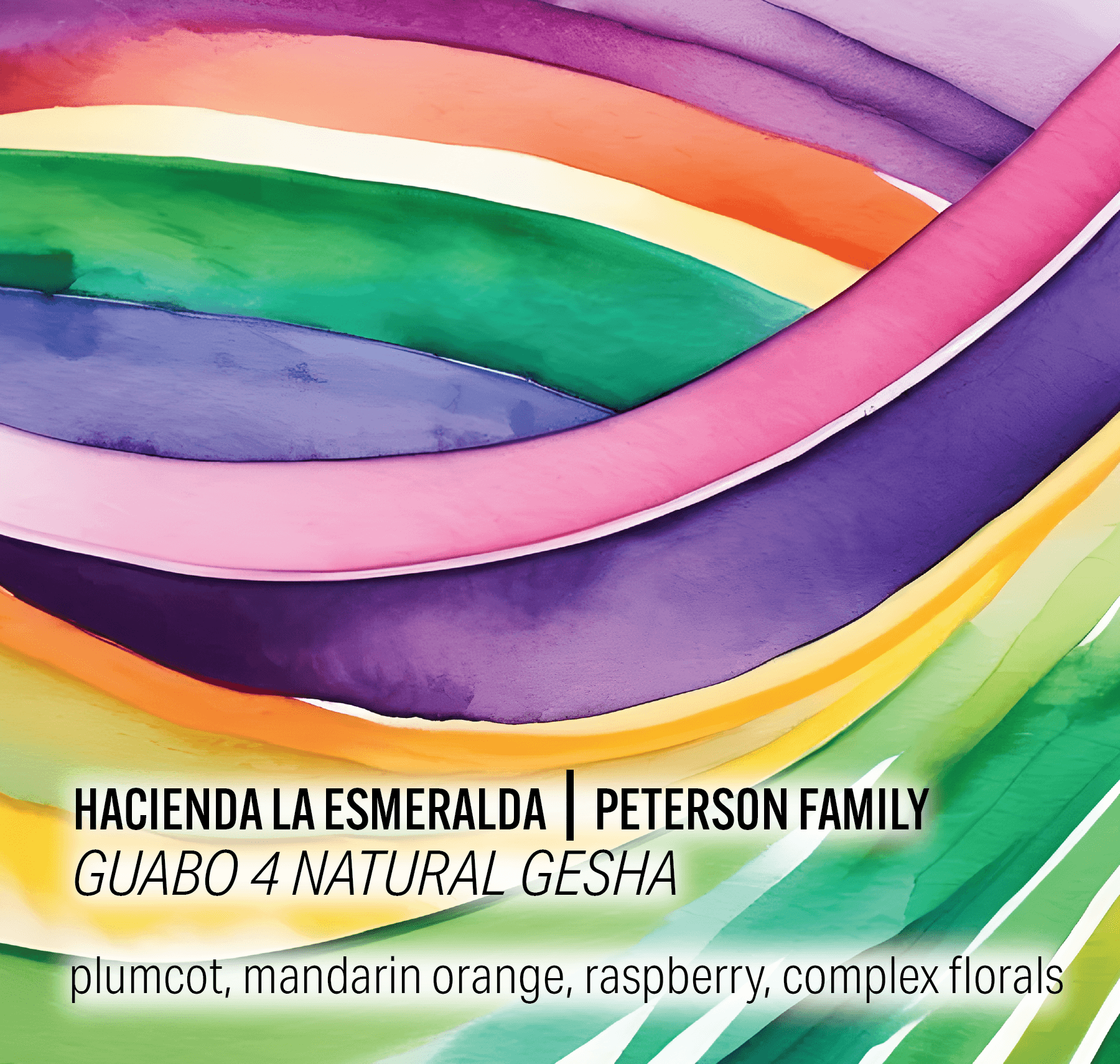 Hacienda La Esmeralda - Guabo 4 Natural Gesha - Panama