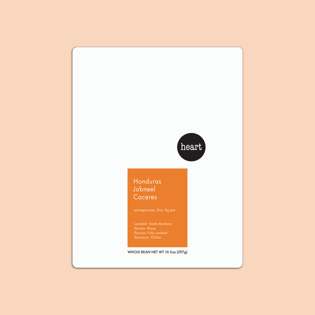 Honduras Jobneel Caceres