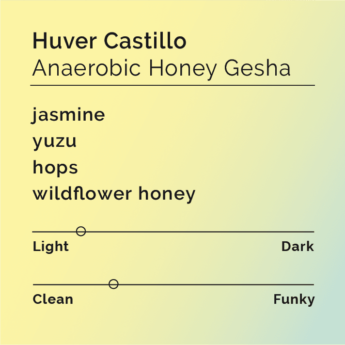 Huver Castillo Anaerobic Honey Gesha
