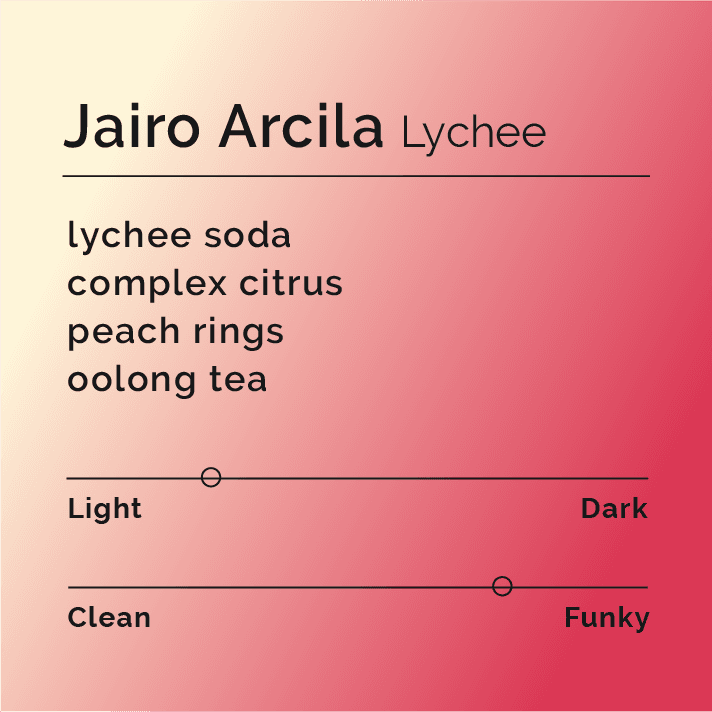 Jairo Arcila Lychee