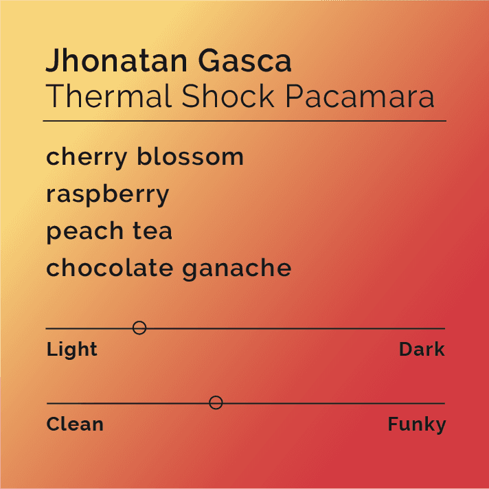 Jhonatan Gasca Thermal Shock Pacamara