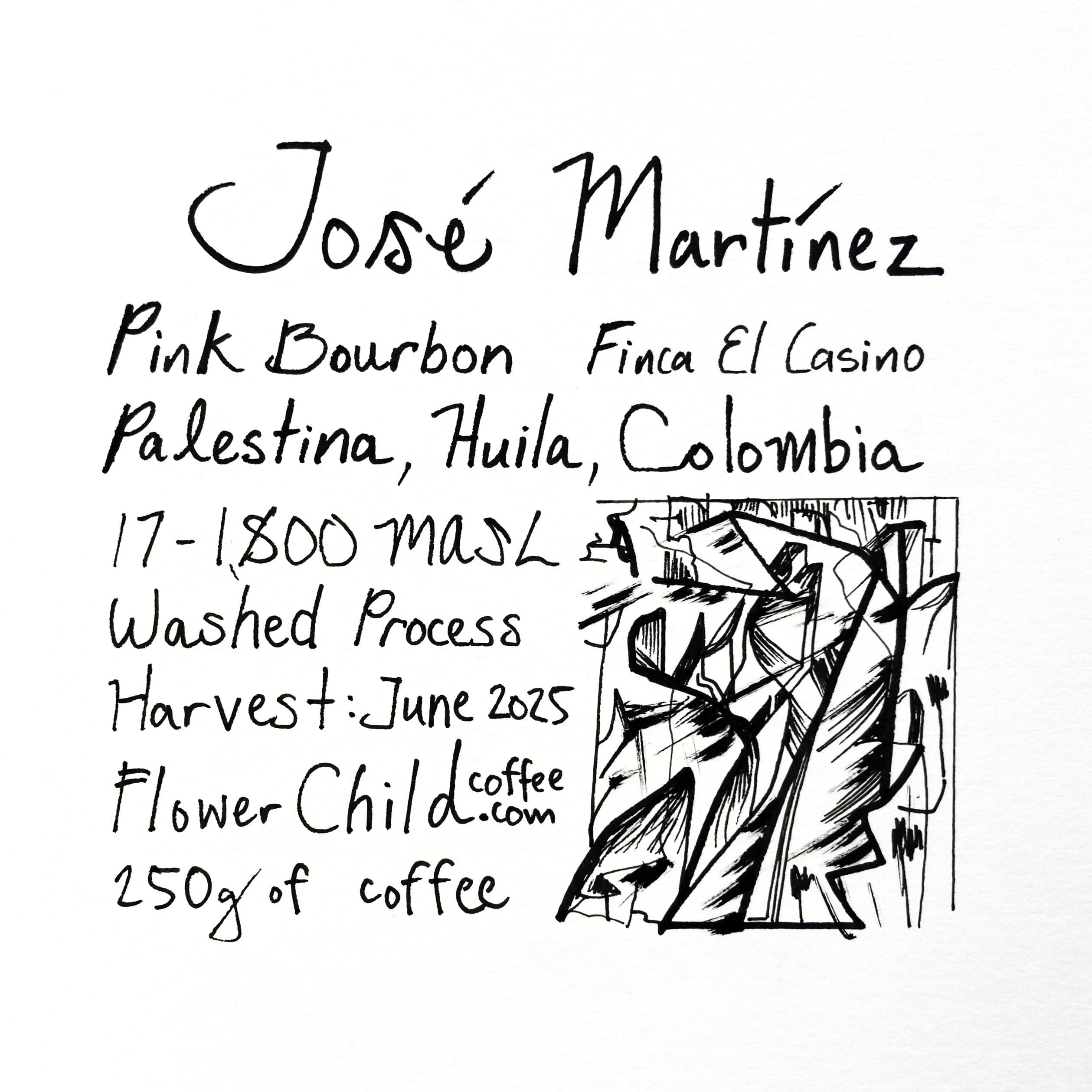 José Martínez