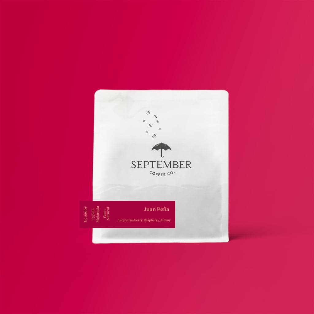 Juan Peña - Ecuador Yeast Inoculated Typica