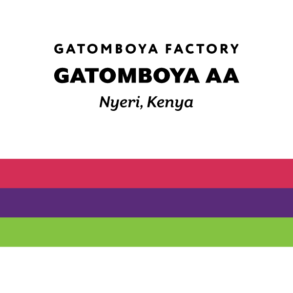 Kenya Gatomboya AA