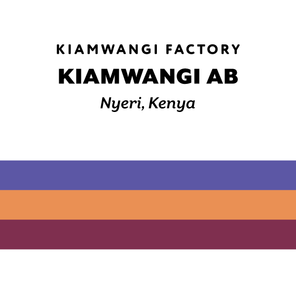 Kenya Kiamwangi AB