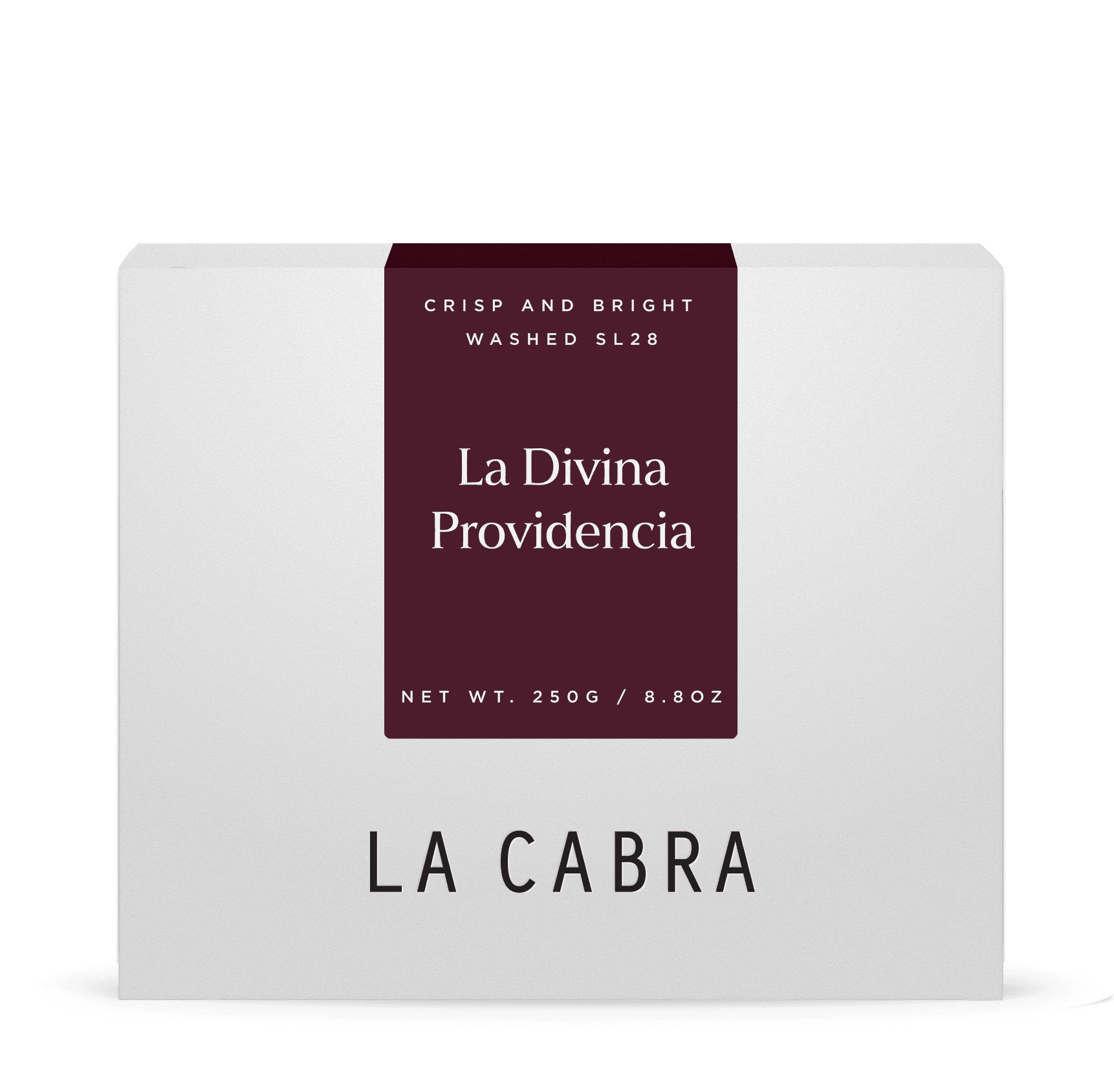 La Divina Washed SL28