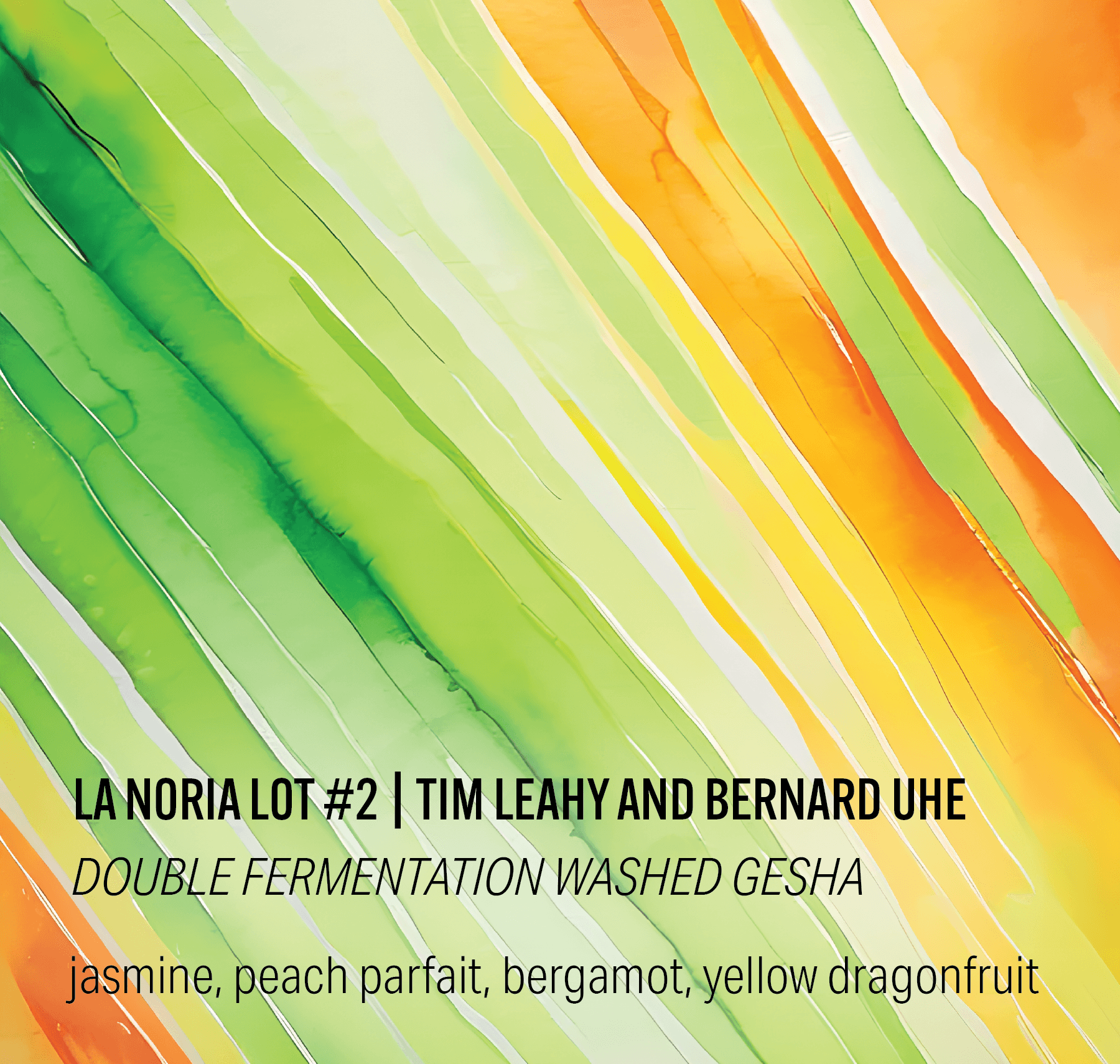 La Noria Lot #2 - Double Fermentation Washed Gesha - Ecuador