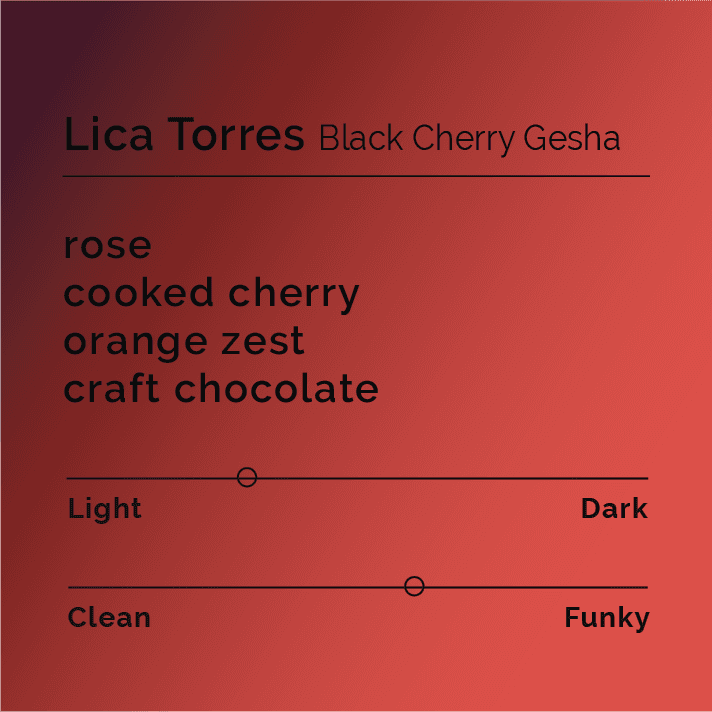 Lica Torres Black Cherry Gesha