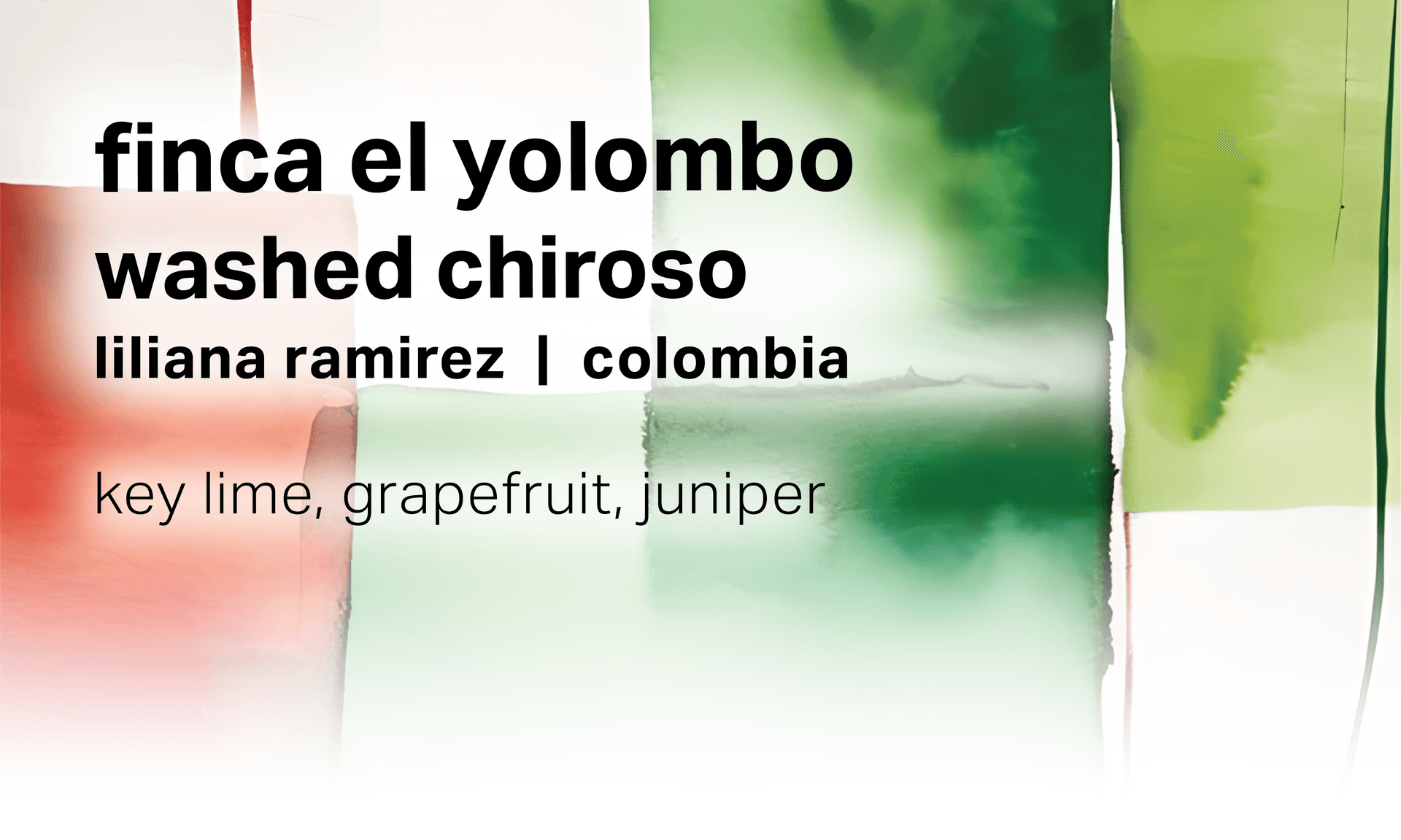 Liliana Ramirez Finca El Yolombo - Washed Chiroso - Colombia
