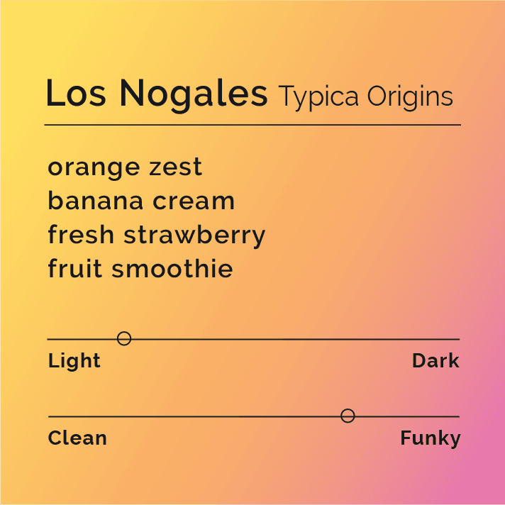 Los Nogales Typica Origins