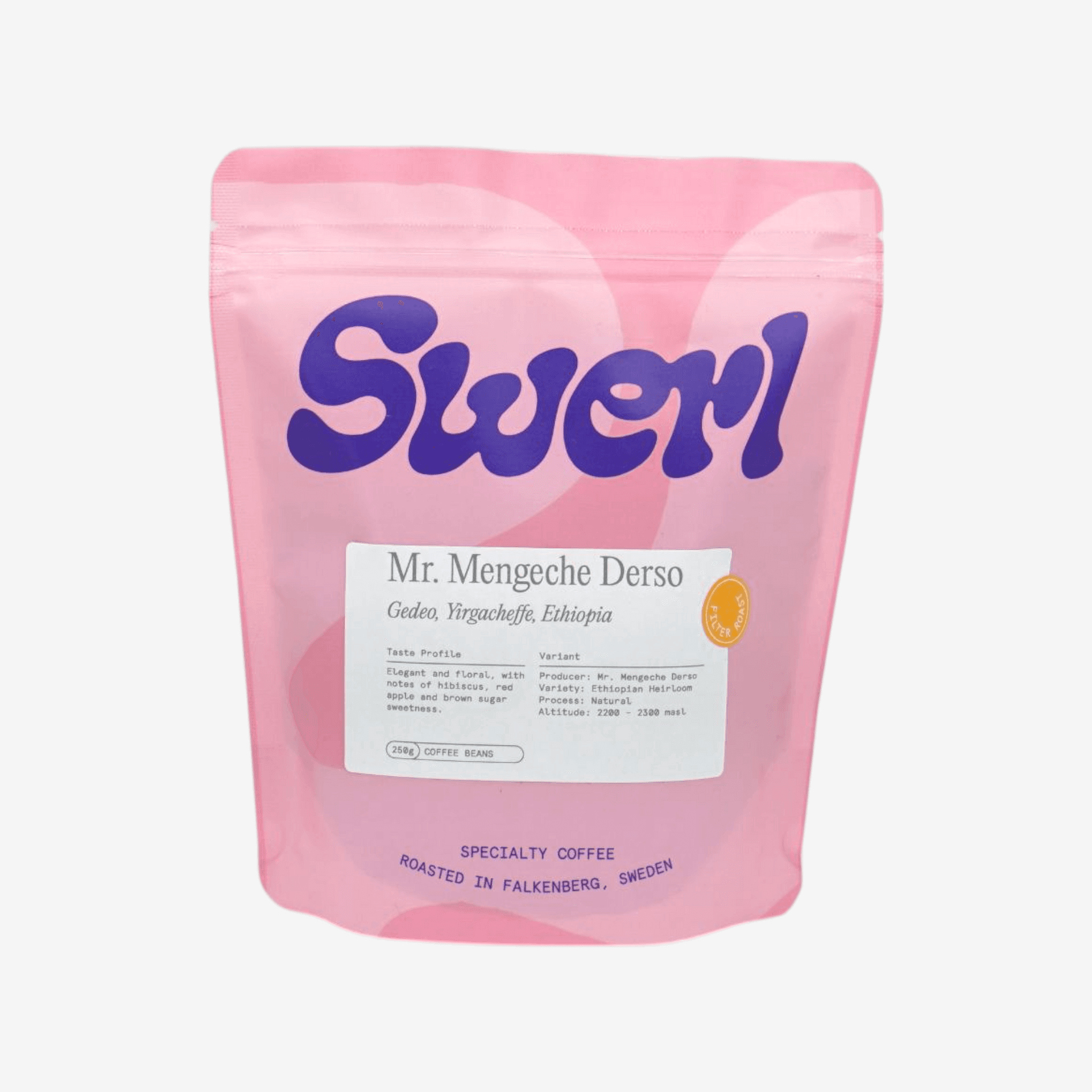 Mr. Mengeche Derso - Ethiopia