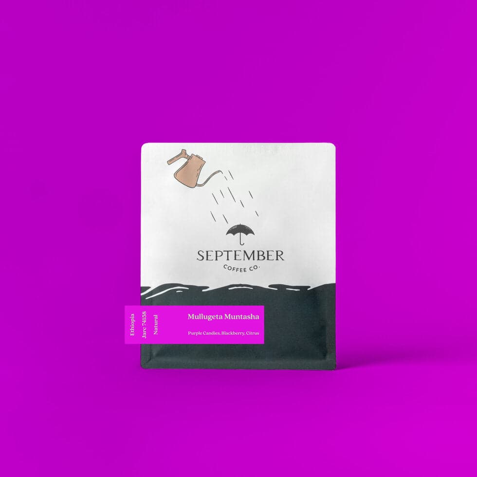 Mullugeta Muntasha - Natural 2025