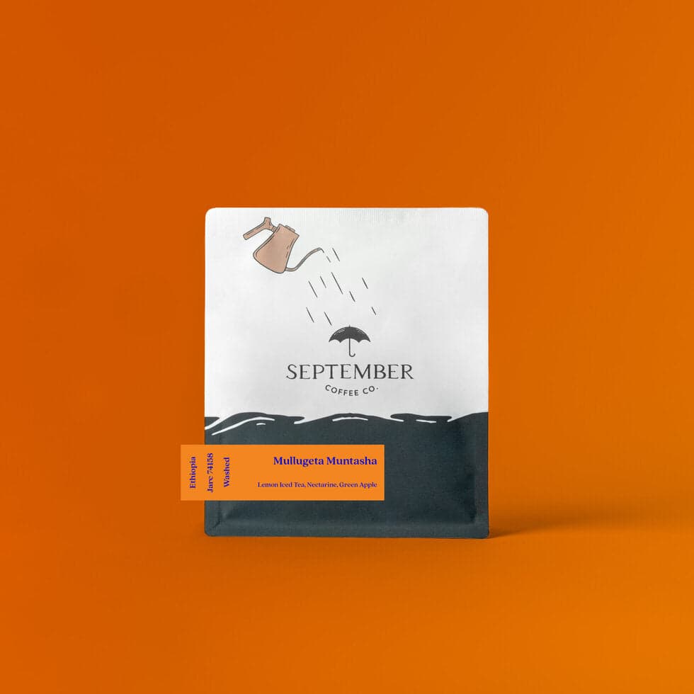 Mullugeta Muntasha - Washed 2025 (Extra-Light)