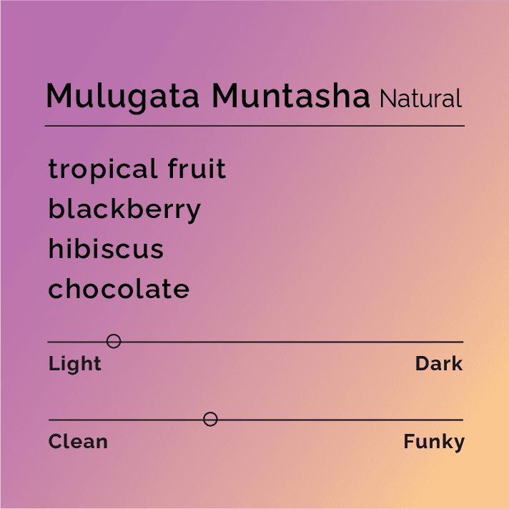 Mulugeta Muntasha Natural