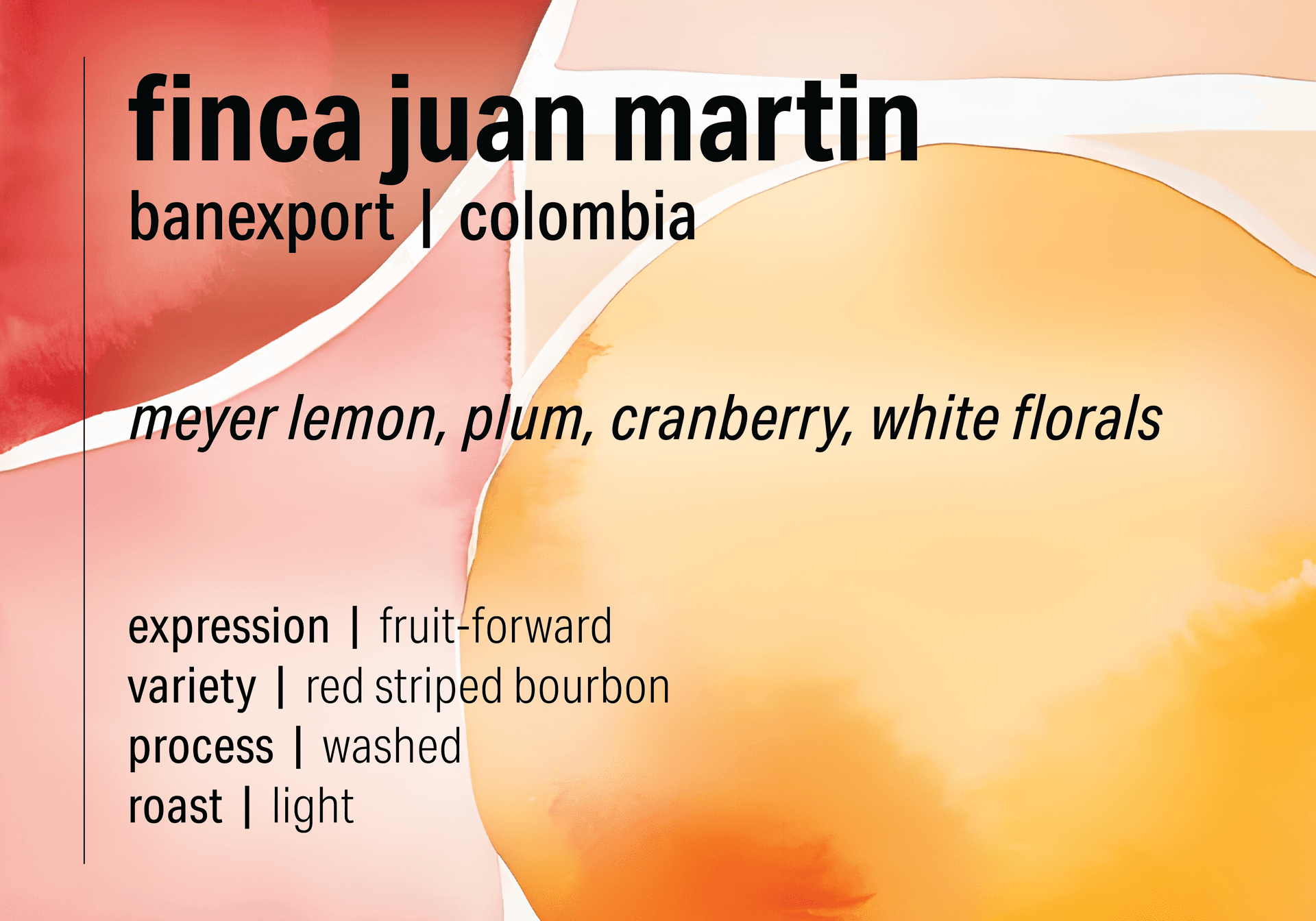 Mystery Coffee League June 2025 - Finca Juan Martin - Washed Red Striped Bourbon - Colombia