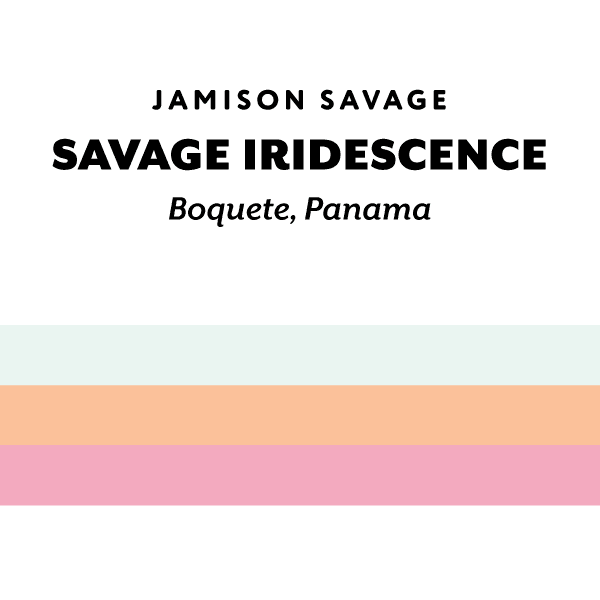 Panama Savage Iridescence 2025