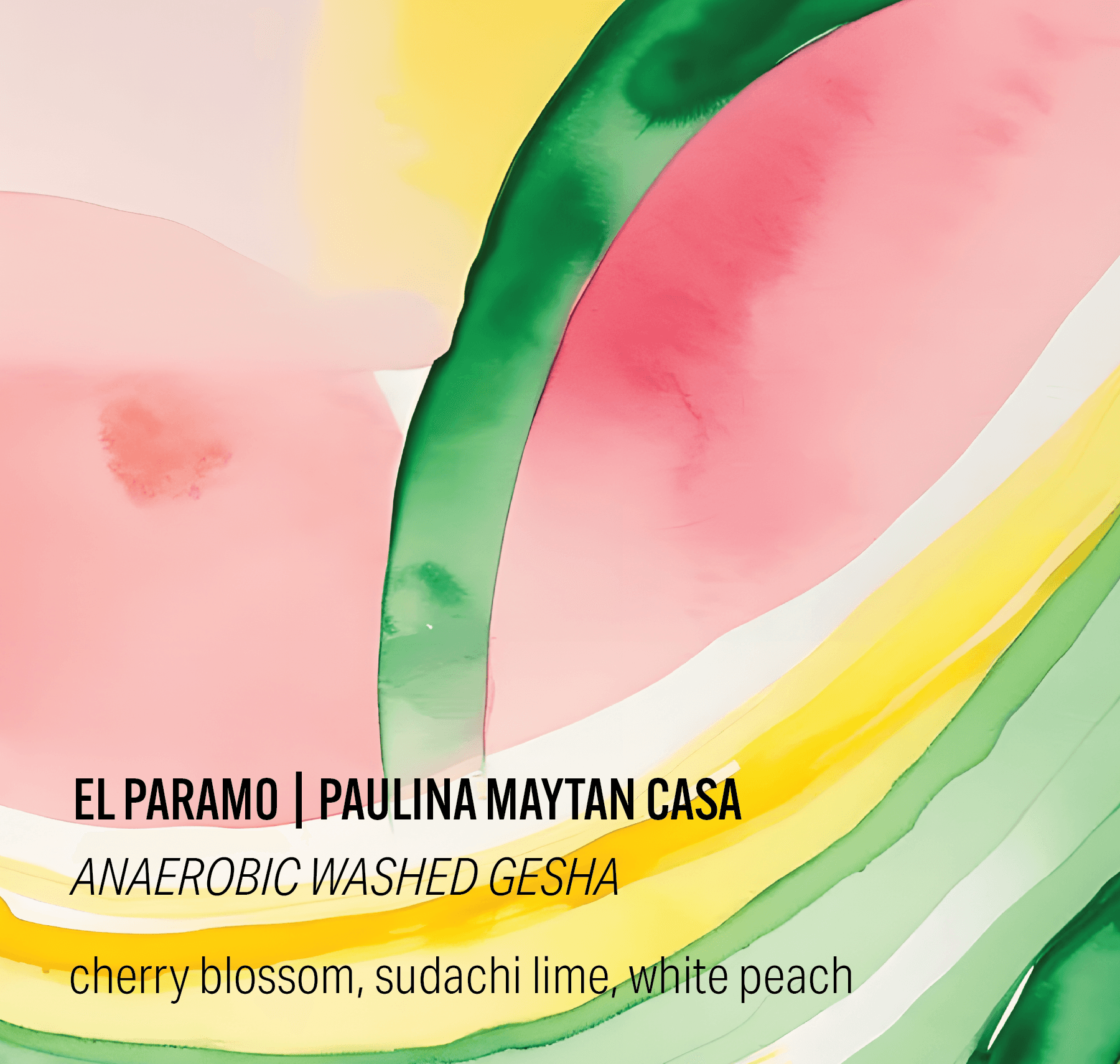 Paulina Maytan Casa Inkawasi #6 - Anaerobic Washed Gesha - Finca El Paramo - Peru