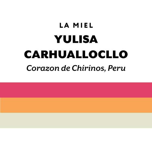 Peru Yulisa Carhuallocllo