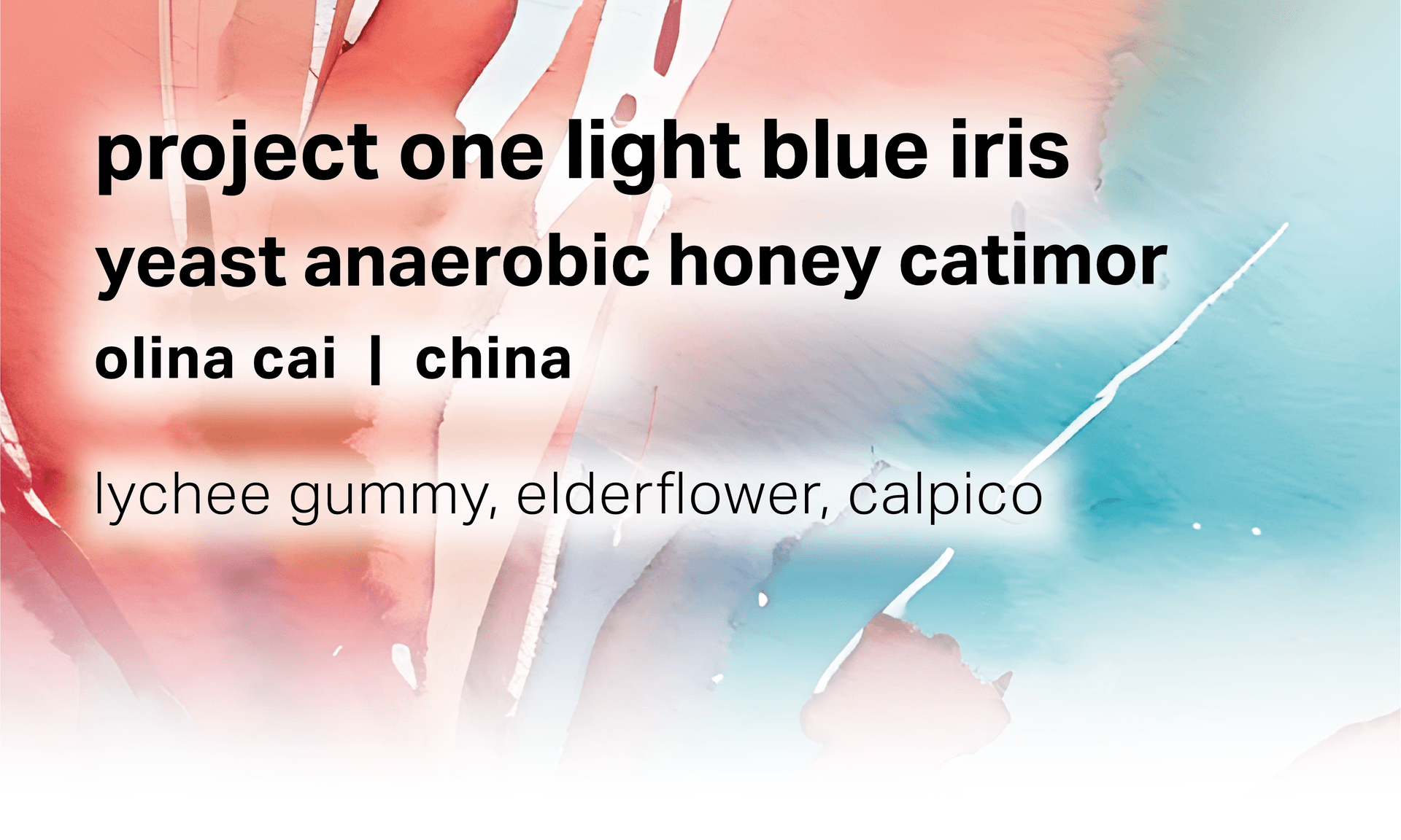 Project One Light Blue Iris - Yeast Anaerobic Honey Catimor - China