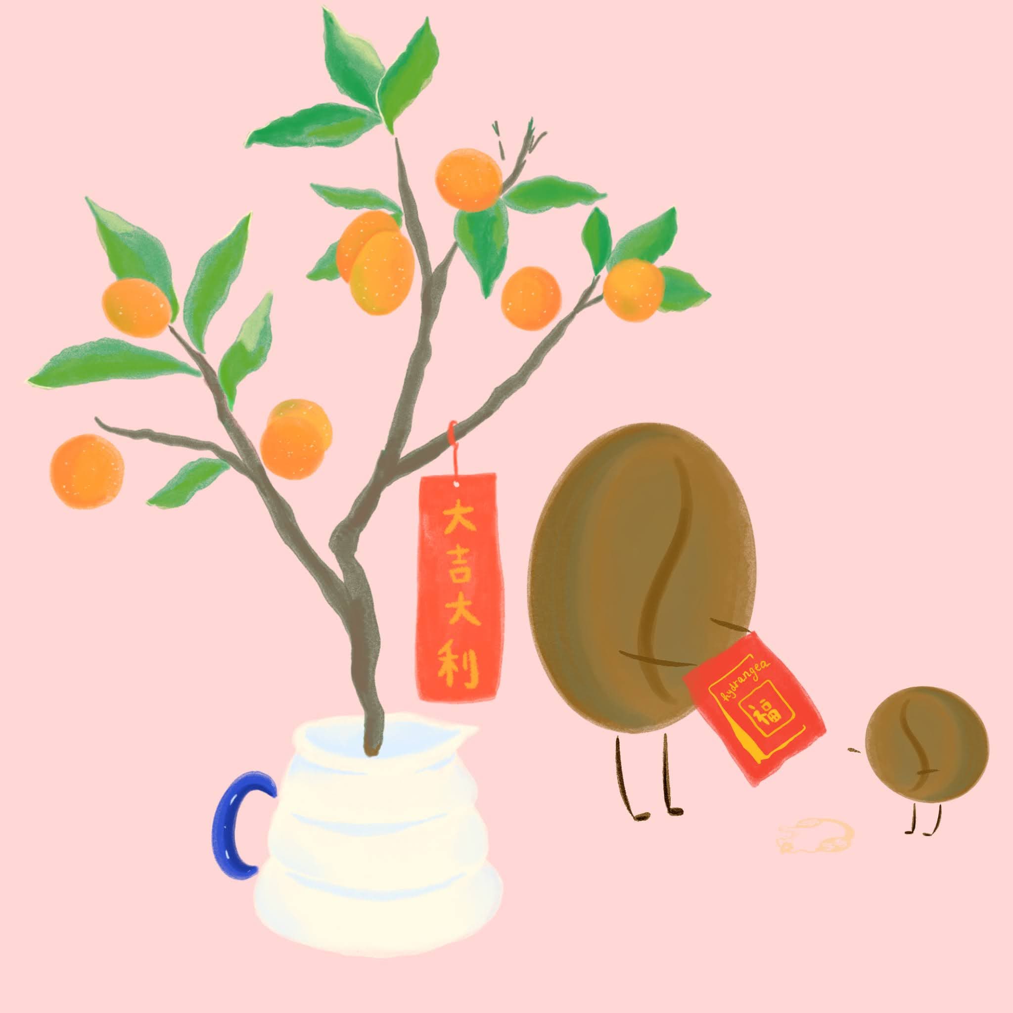 Purple Caturra - Kumquat Co‑Ferment Washed - Monteblanco