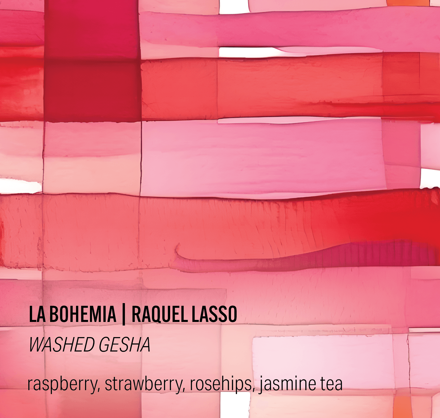 Raquel Lasso Washed Gesha - La Bohemia - Colombia (Brian Quan collaboration)