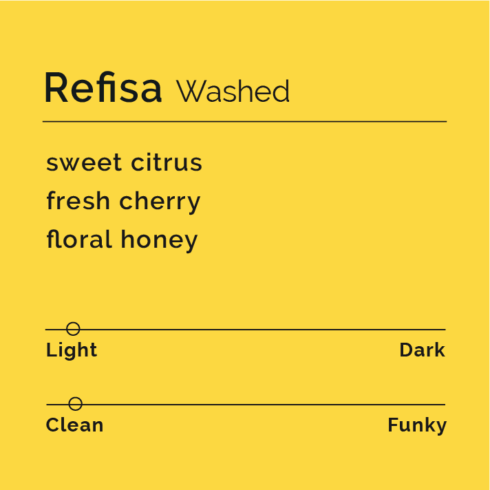 Refisa Washed
