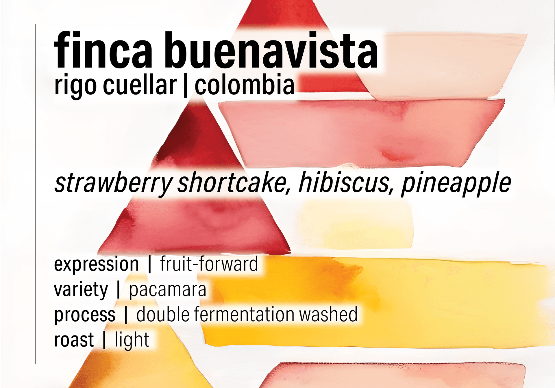 Rigo Cuellar Finca Buenavista - Double Fermentation Washed Pacamara - Colombia