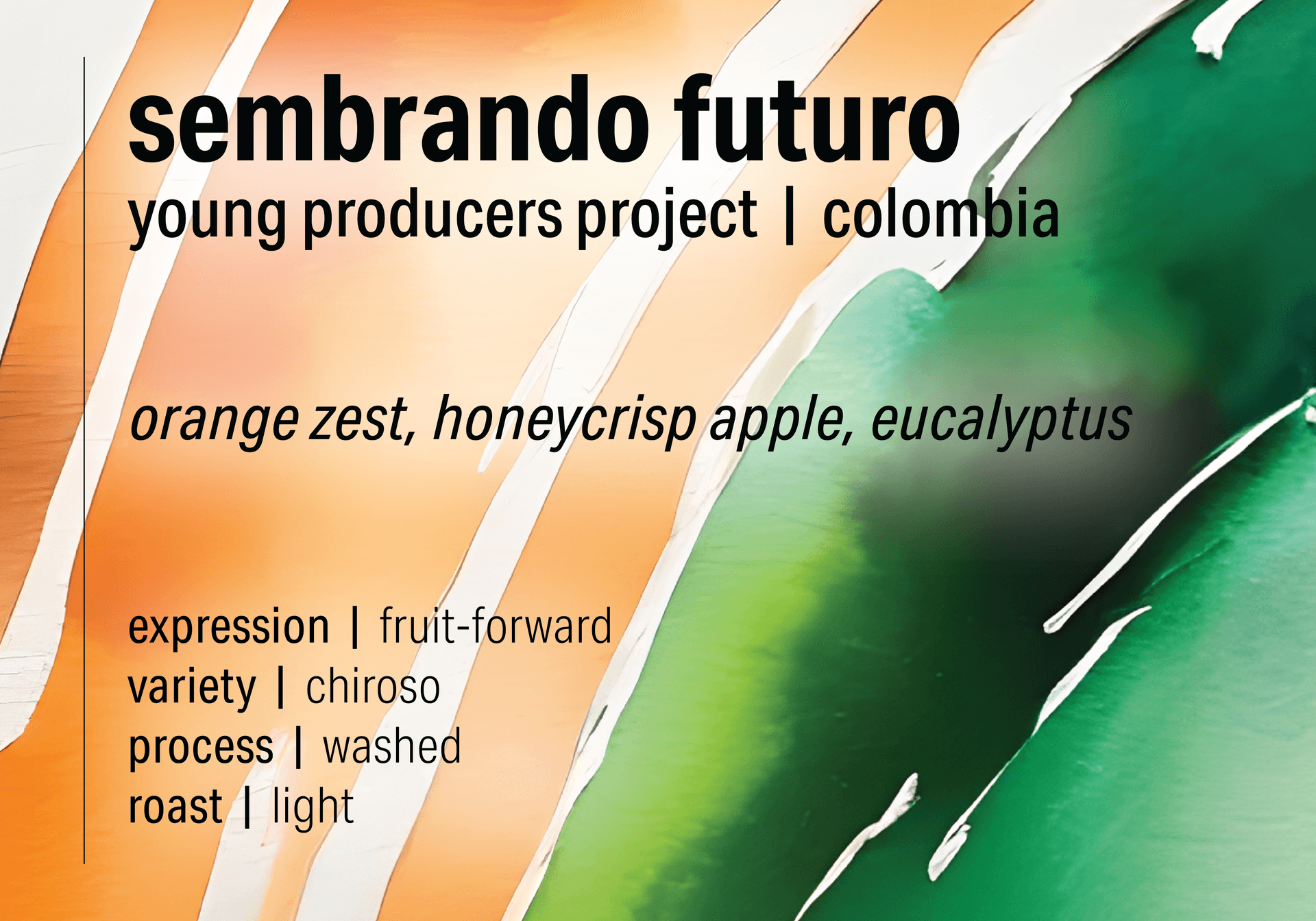Sembrando Futuro Unblended Young Producers Project - Washed Chiroso - Colombia