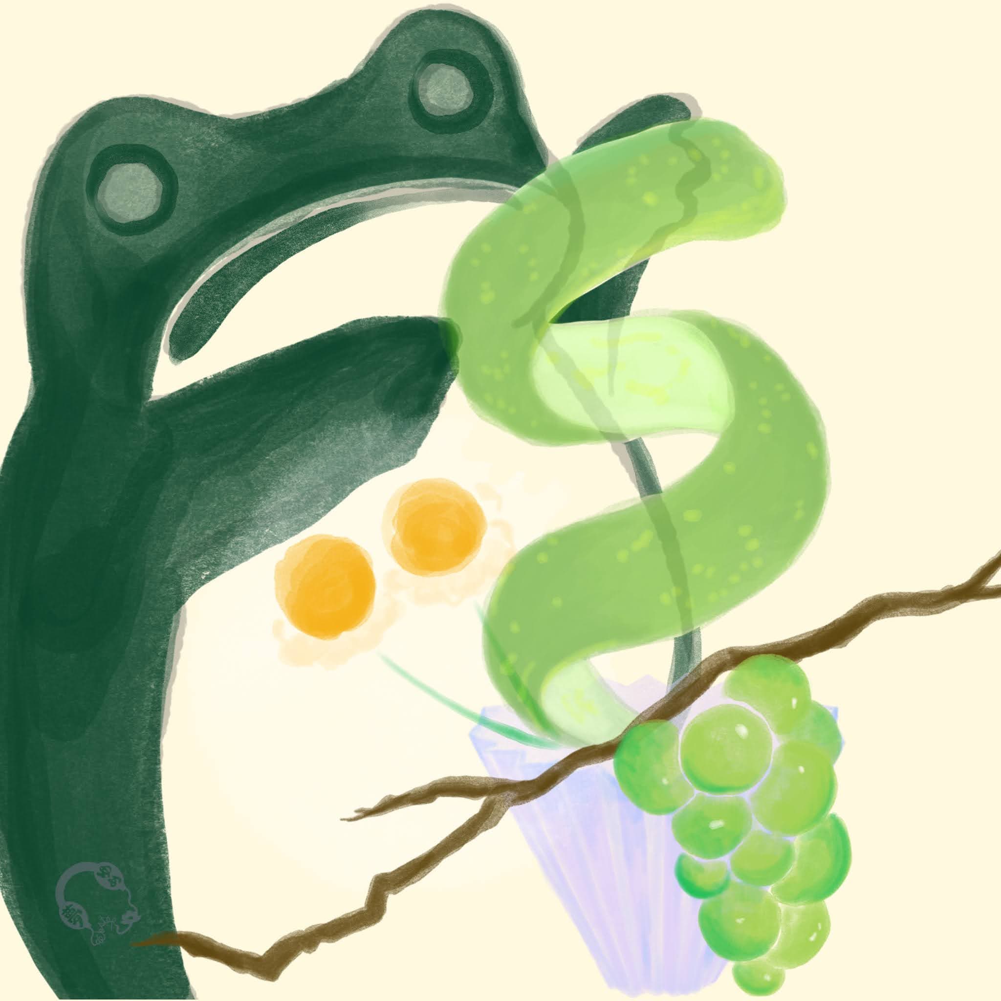 Sidra - Anaerobic Washed - Finca Soledad