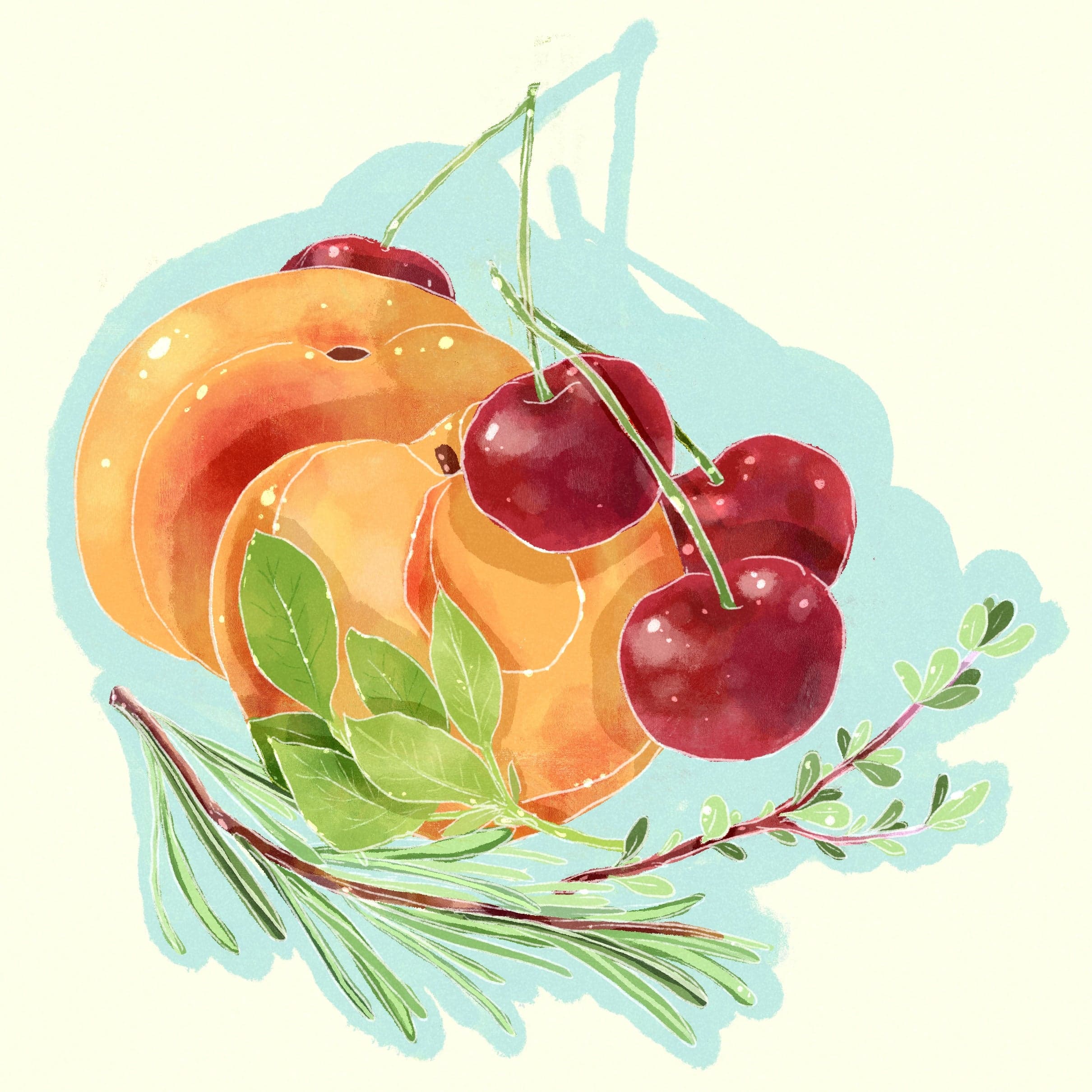 Sudan Rume - Natural - Coffea diversa