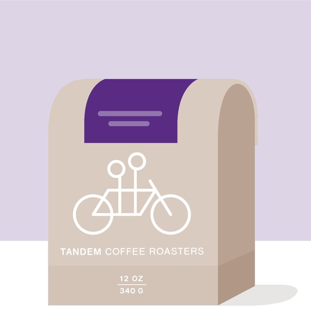 Tagel Alemayehu - Ethiopia