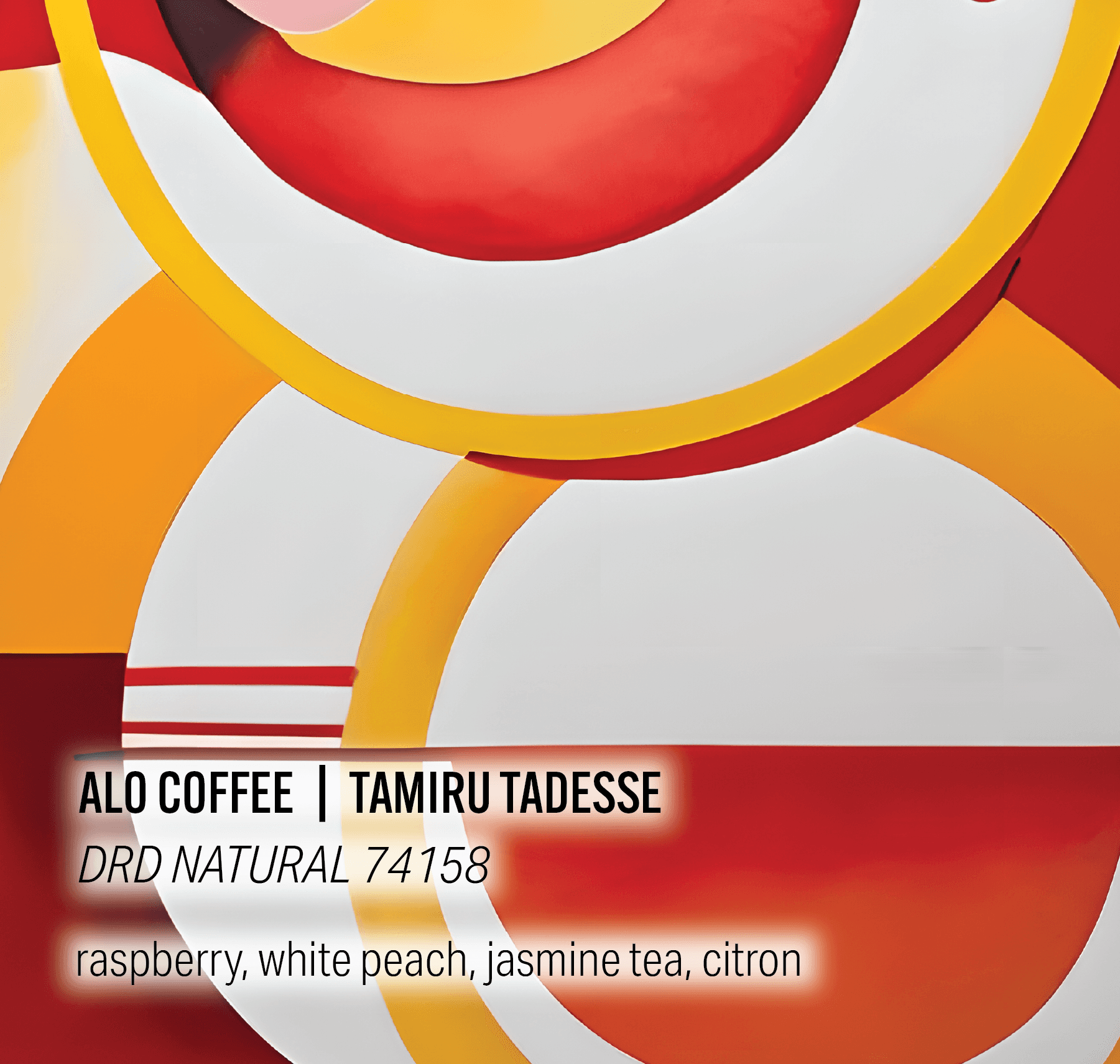 Tamiru Tadesse Alo Coffee - DRD Natural 74158 - Ethiopia