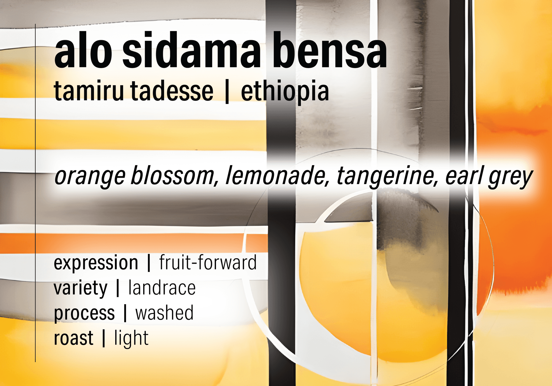 Tamiru Tadesse Washed Landrace - Alo - Ethiopia