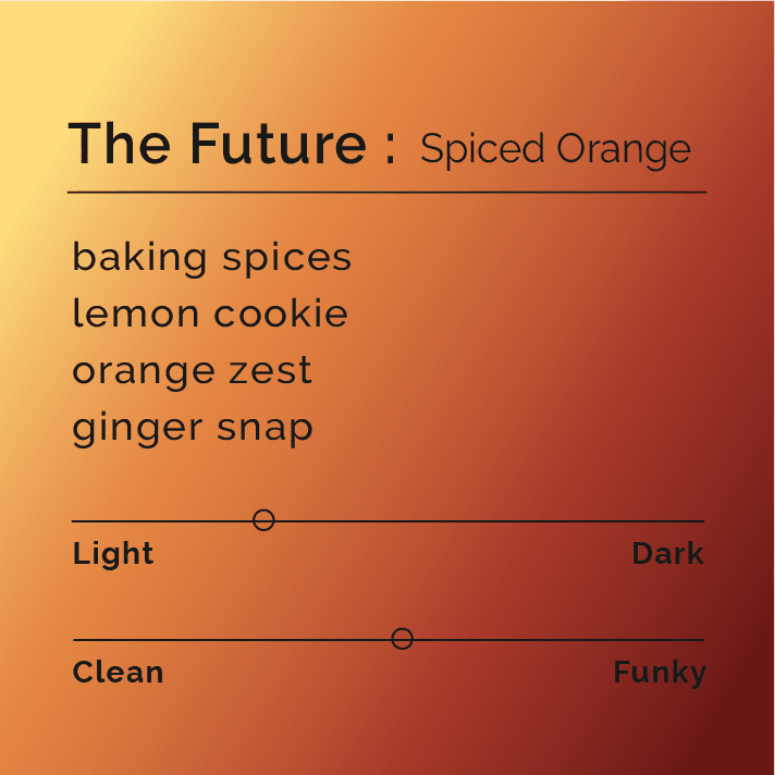 The Future Spiced Orange