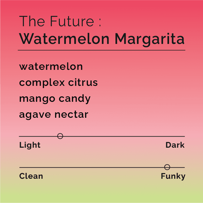 The Future Watermelon Margarita