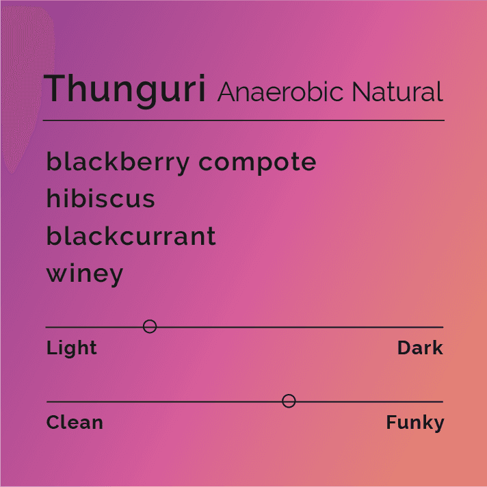 Thunguri Anaerobic Natural