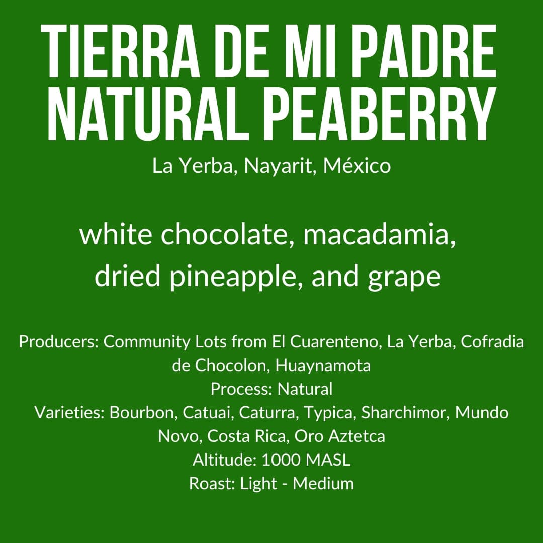 Tierra de Mi Padre, Natural Peaberry, Mexico