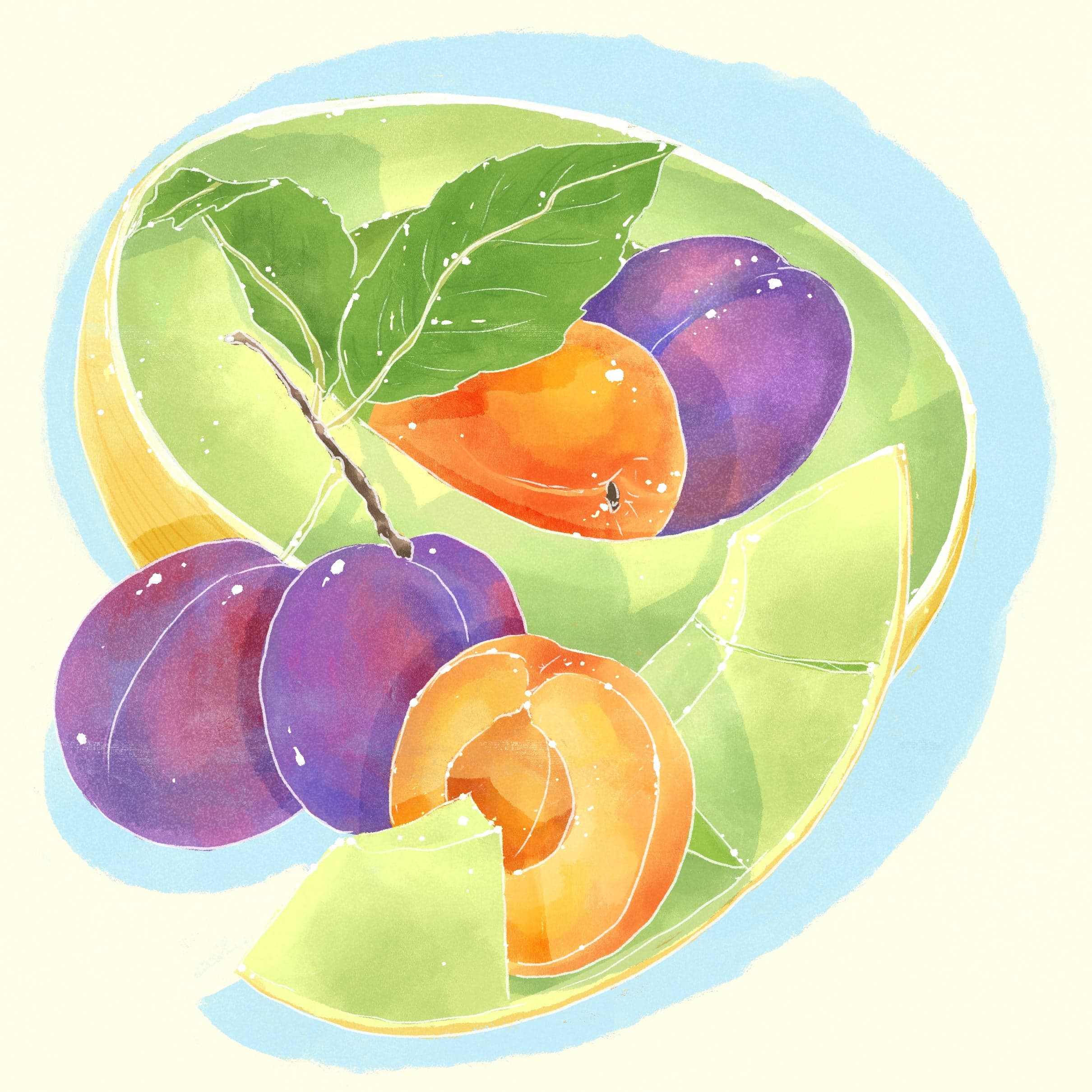 Typica Mejorado - Natural - Hacienda La Papaya