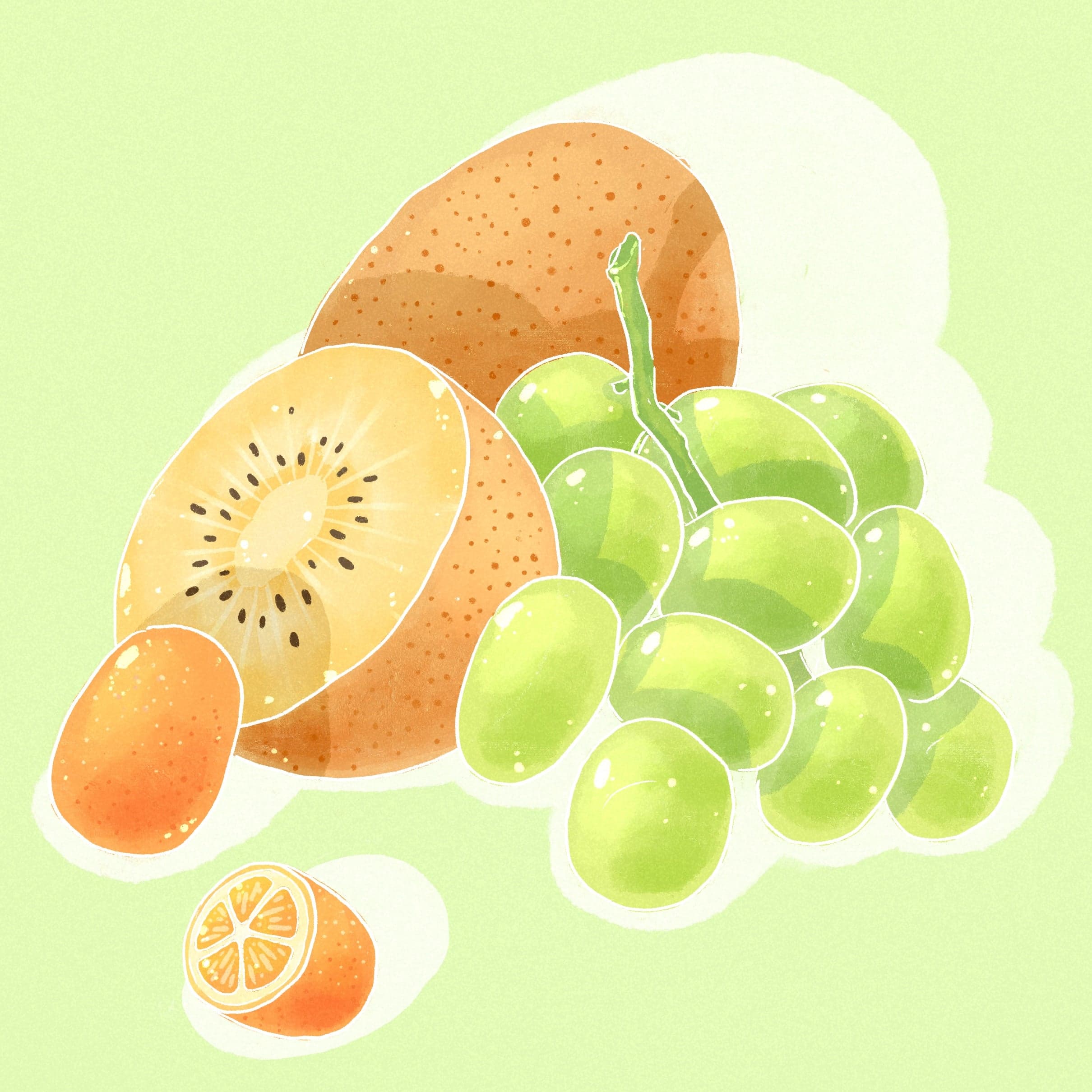 Typica Mejorado - White Honey - Hacienda La Florida