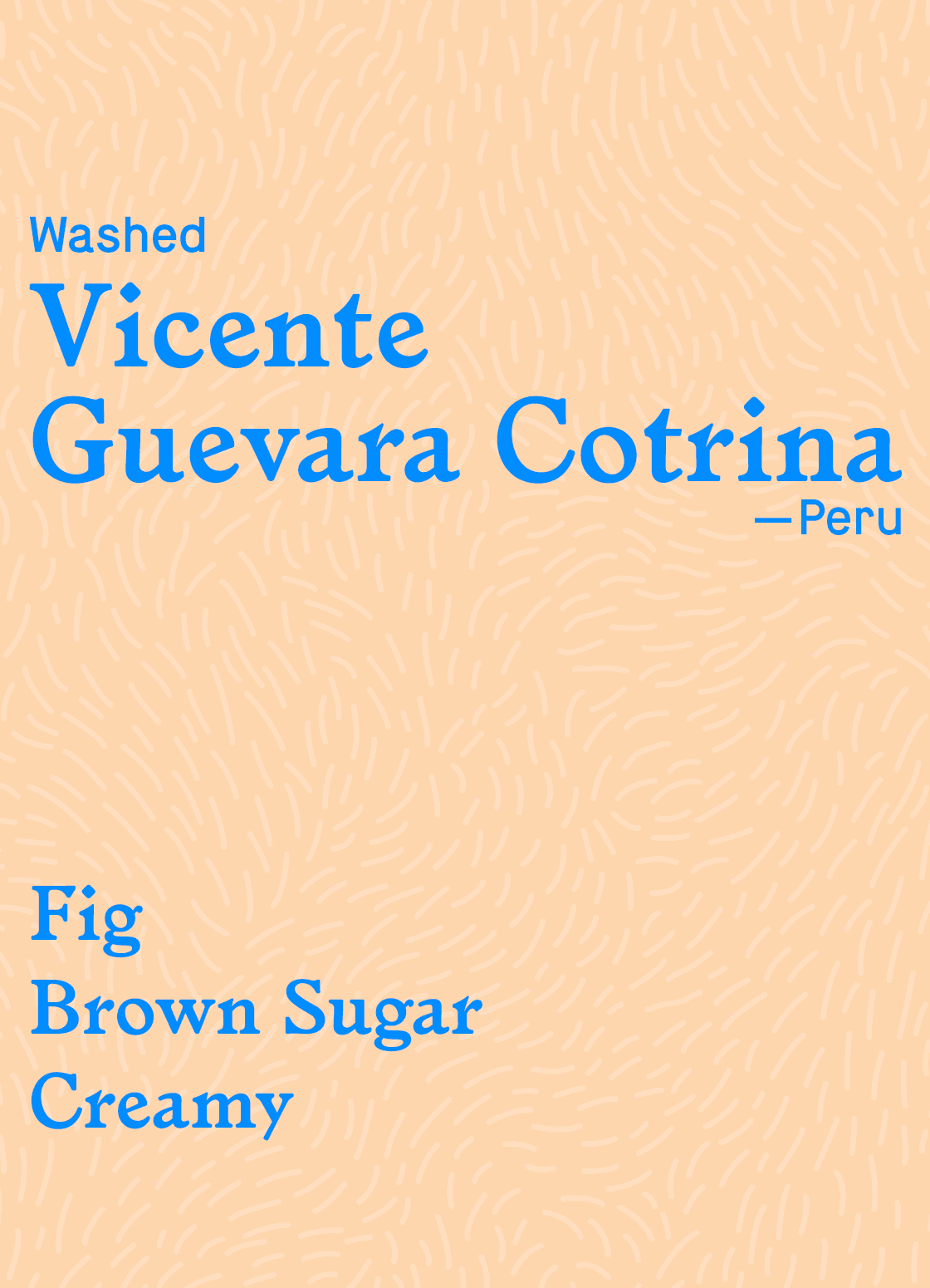 Vicente Guevara Cotrina