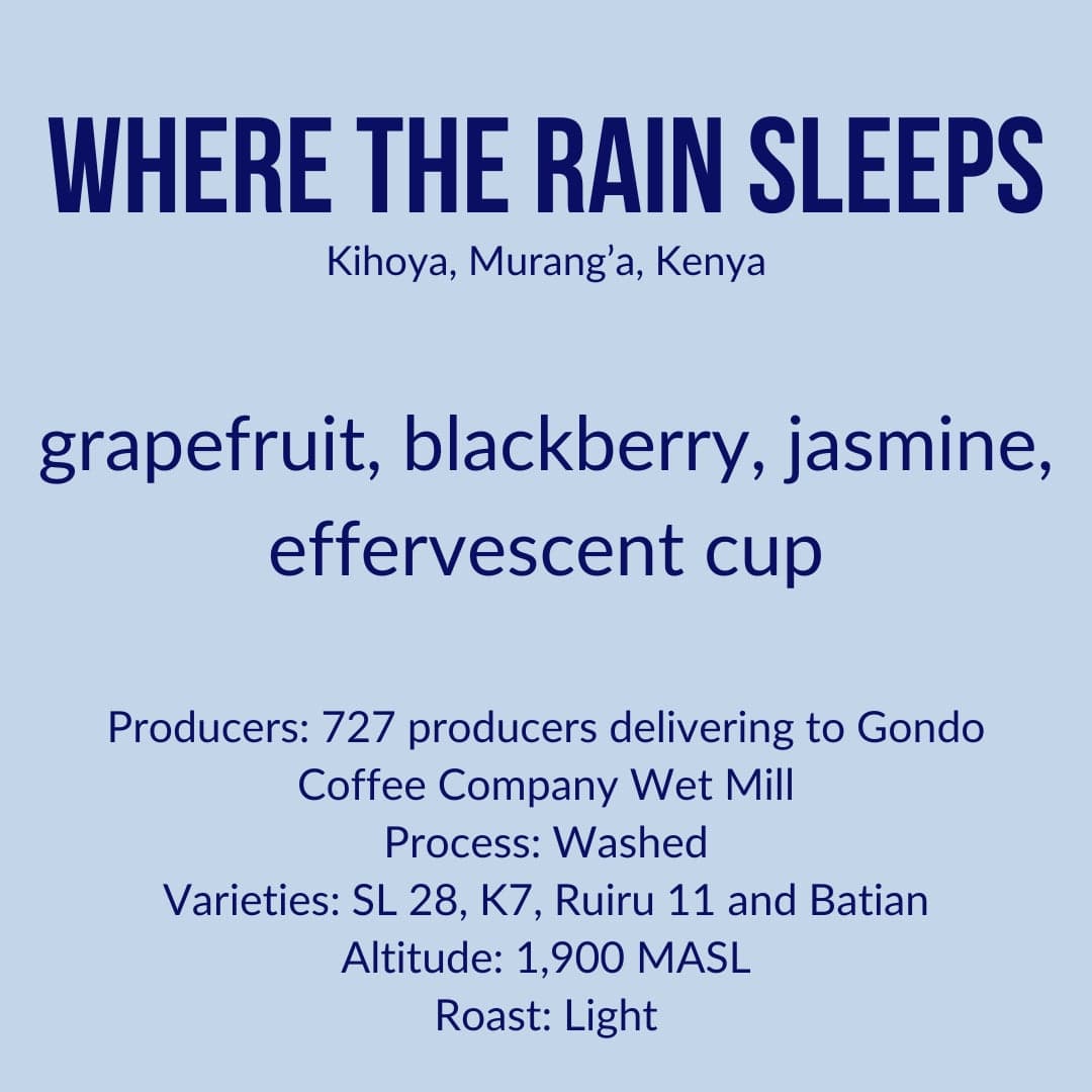 Where the Rain Sleeps, Gondo AB, Kenya