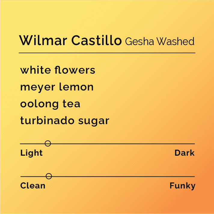 Wilmar Castillo Gesha Washed
