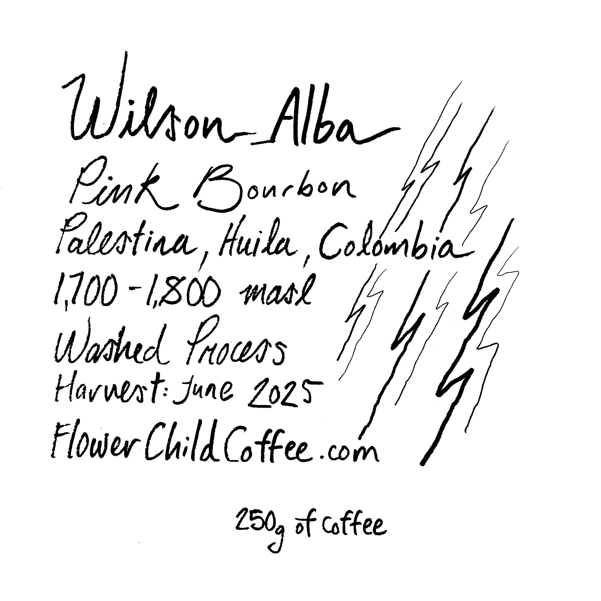 Wilson Alba