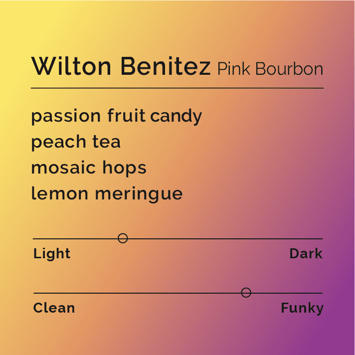 Wilton Benitez Pink Bourbon