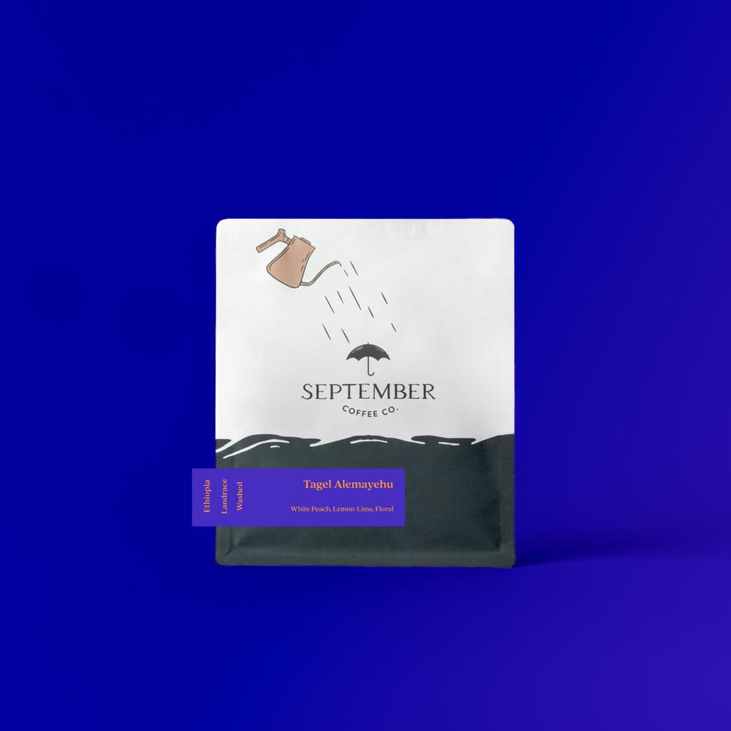 Tagel Alemayehu - Ethiopia