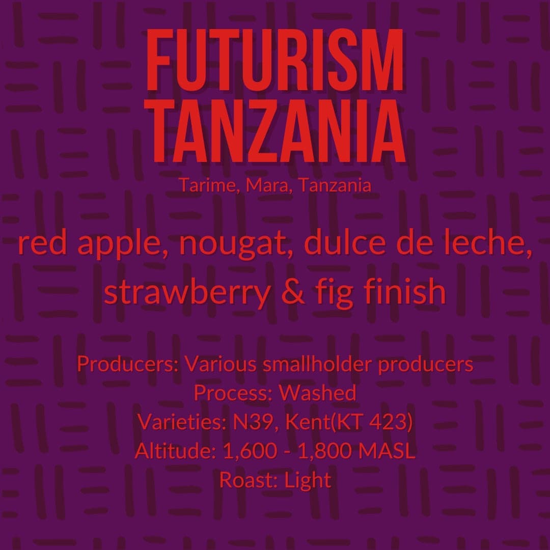 Futurism Tanzania, Washed