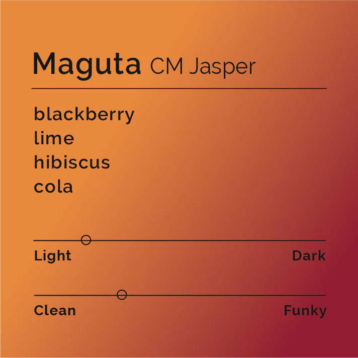 Maguta CM Jasper