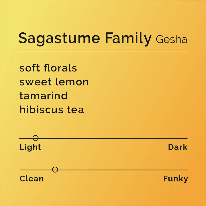 Benjamin Paz Anaerobic Washed